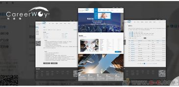 成都網(wǎng)站策劃設計開發(fā)維護推廣一體化解決方案 專業(yè)與責任并重的企業(yè)伙伴