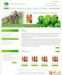 外貿(mào)公司網(wǎng)站開發(fā)與設(shè)計(jì) 打造專業(yè)、高效的數(shù)字門戶